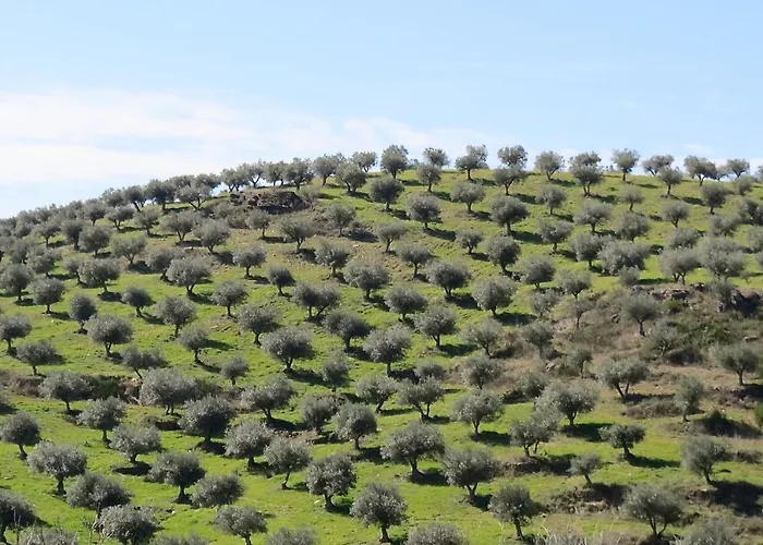 Agroturismo Casal De Castro
